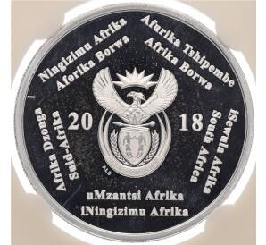 2 рэнда 2018 года ЮАР «Чемпионат мира по футболу 2018 в России» (В слабе) — Фото №2