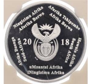 2 рэнда 2018 года ЮАР «Чемпионат мира по футболу 2018 в России» (В слабе) — Фото №2