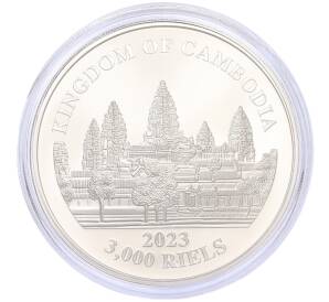 3000 риелей 2023 года Камбоджа «Дымчатый леопард» (Цветное покрытие) — Фото №2