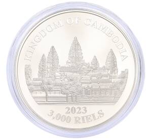 3000 риелей 2023 года Камбоджа «Дымчатый леопард» (Цветное покрытие) — Фото №2