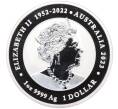 Монета 1 доллар 2023 года Австралия «Дракон и карп кои» (Артикул: K10-15137) — Фото №2