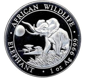 100 шиллингов 2016 года Сомали «Дикая природа Африки — Слон» — Фото №1