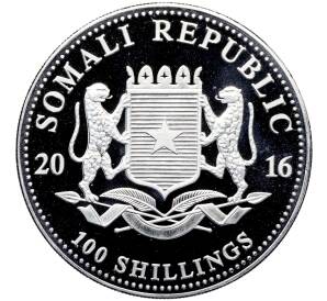 100 шиллингов 2016 года Сомали «Дикая природа Африки — Слон» — Фото №2