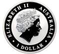 Монета 1 доллар 2017 года Австралия «Австралийский клинохвостый орел» (Артикул: K10-15166) — Фото №2