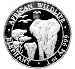 100 шиллингов 2015 года Сомали «Дикая природа Африки — Слон» — Фото №1