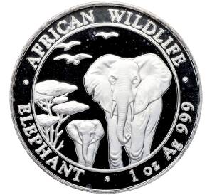 100 шиллингов 2015 года Сомали «Дикая природа Африки — Слон» — Фото №1