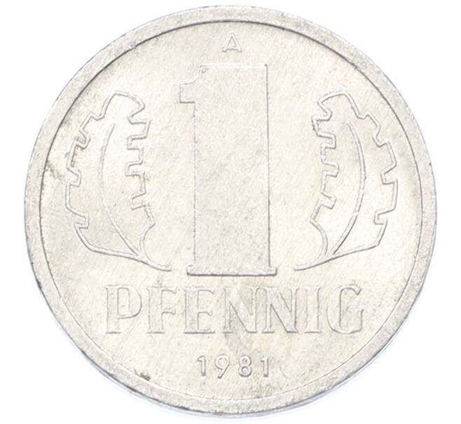 Монета 1 пфенниг 1981 года Восточная Германия (ГДР) (Артикул: K10-15378) — Фото №1