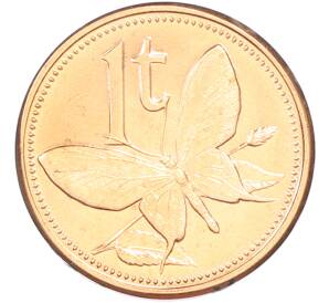 1 тойя 2004 года Папуа — Новая Гвинея — Фото №1