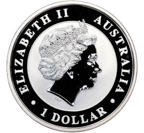 1 доллар 2016 года Австралия «Австралийский клинохвостый орел» — Фото №2