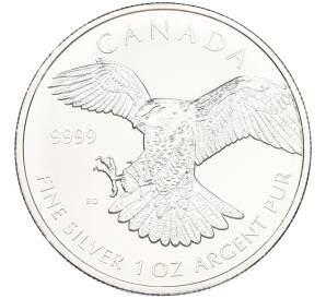 5 долларов 2014 года Канада «Хищные птицы — Сапсан» — Фото №1