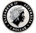 Монета 1 доллар 2014 года Австралия «Австралийская кукабарра» (Артикул: K10-15687) — Фото №2