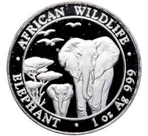 100 шиллингов 2015 года Сомали «Дикая природа Африки — Слон» — Фото №1