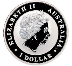 1 доллар 2014 года Австралия «Австралийская коала» — Фото №2