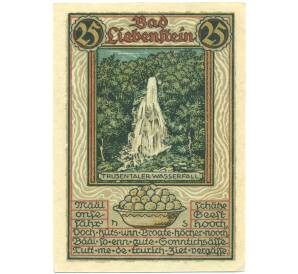 25 пфеннигов 1921 года Германия — город Бад-Либенштайн (Нотгельд) — Фото №1