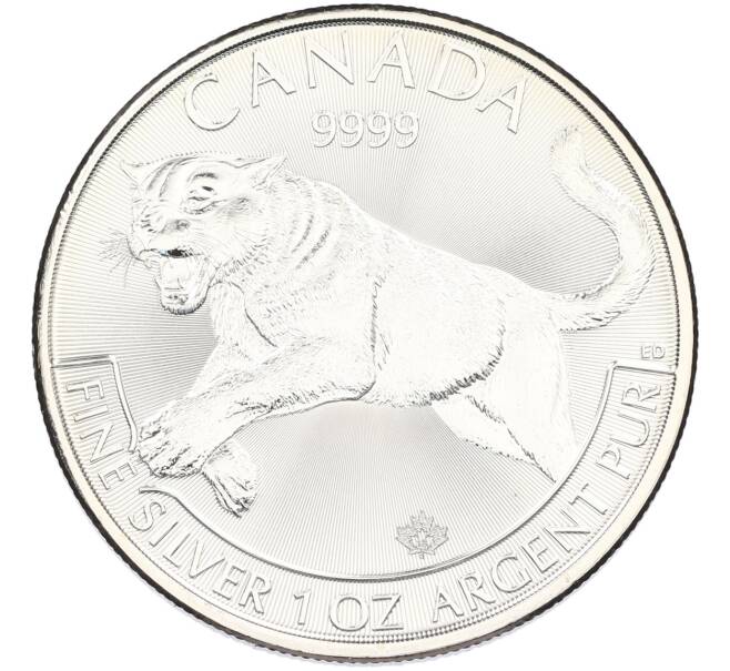 Монета 5 долларов 2016 года Канада «Хищники — Пума» (Артикул: K10-15719) — Фото №1