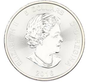 5 долларов 2016 года Канада «Хищники — Пума» — Фото №2