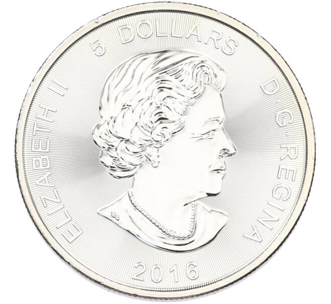 Монета 5 долларов 2016 года Канада «Хищники — Пума» (Артикул: K10-15719) — Фото №2