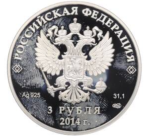 3 рубля 2014 года СПМД «XXII зимние Олимпийские Игры 2014 в Сочи — Хоккей» — Фото №2