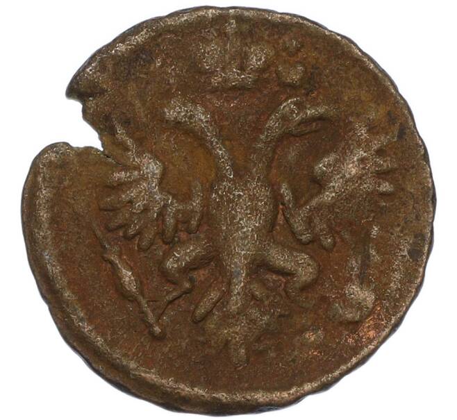 Монета Денга 1731 года (Артикул: K7-0501) — Фото №2