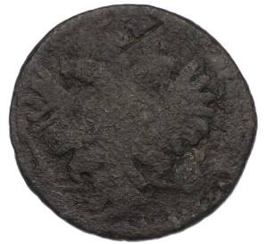 Полушка 1734 года — Фото №2