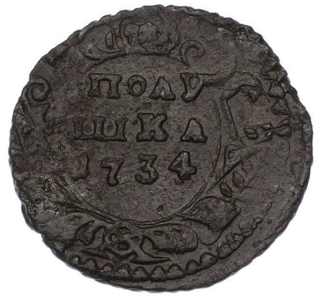 Монета Полушка 1734 года (Артикул: K7-0554) — Фото №1
