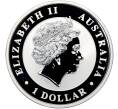 Монета 1 доллар 2017 года Австралия «Австралийский клинохвостый орел» (Артикул: K10-15777) — Фото №2