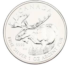 5 долларов 2012 года Канада «Канадская Фауна — Лось» — Фото №1