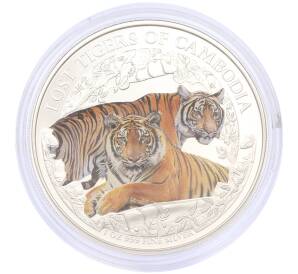 3000 риелей 2024 года Камбоджа «Потерянные тигры Камбоджи» (Цветное покрытие) — Фото №1