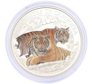 3000 риелей 2024 года Камбоджа «Потерянные тигры Камбоджи» (Цветное покрытие) — Фото №1