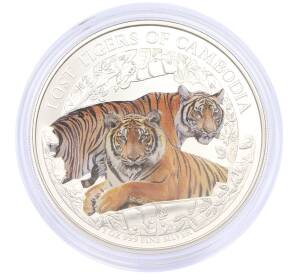 3000 риелей 2024 года Камбоджа «Потерянные тигры Камбоджи» (Цветное покрытие) — Фото №1