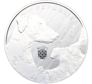 10 кун 2021 года Хорватия «Автохтонная Хорватия — Далматин» — Фото №2