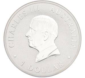 1 доллар 2024 года Австралия «Австралийская коала» — Фото №2