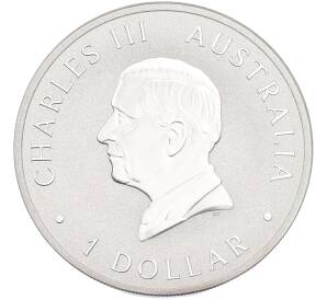 1 доллар 2024 года Австралия «Австралийская коала» — Фото №2