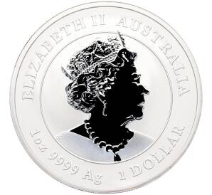 1 доллар 2023 года Австралия «Лунный календарь III — Год Кролика» — Фото №2