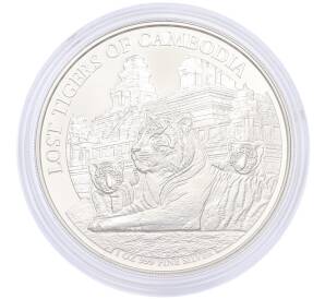 3000 риелей 2025 года Камбоджа «Потерянные тигры Камбоджи» — Фото №1