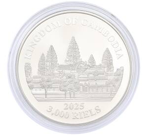 3000 риелей 2025 года Камбоджа «Потерянные тигры Камбоджи» — Фото №2