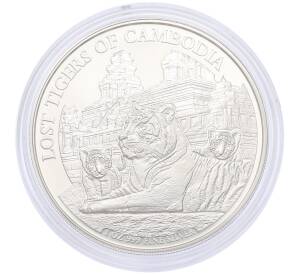 3000 риелей 2025 года Камбоджа «Потерянные тигры Камбоджи» — Фото №1