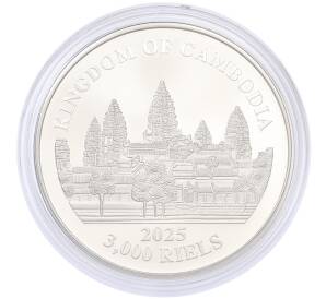 3000 риелей 2025 года Камбоджа «Потерянные тигры Камбоджи» — Фото №2