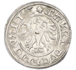 1/2 гроша 1495-1506 года Литва (Князь Александр I Ягеллончик) — Фото №2