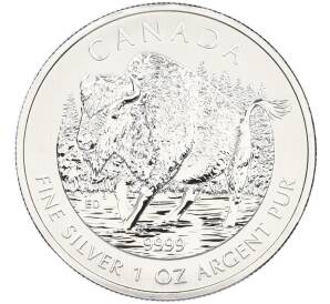 5 долларов 2013 года Канада «Канадская Фауна — Бизон» — Фото №1