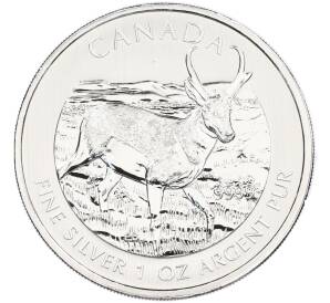 5 долларов 2013 года Канада «Канадская Фауна — Вилорог» — Фото №1