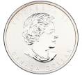 Монета 1 доллар 2012 года Канада «200-летие войны 1812 года» (Артикул: K10-16441) — Фото №2