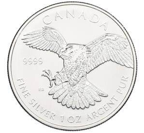 5 долларов 2014 года Канада «Хищные птицы — Сапсан» — Фото №1