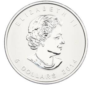 5 долларов 2014 года Канада «Хищные птицы — Сапсан» — Фото №2