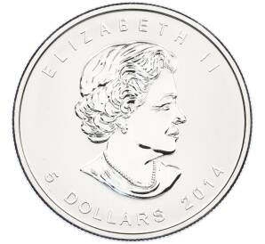 5 долларов 2014 года Канада «Хищные птицы — Сапсан» — Фото №2