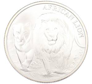 5000 франков 2016 года Республика Конго «Африканский лев» — Фото №1