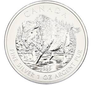 5 долларов 2013 года Канада «Канадская Фауна — Бизон» — Фото №1