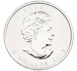 5 долларов 2013 года Канада «Канадская Фауна — Бизон» — Фото №2