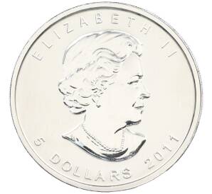 5 долларов 2011 года Канада «Канадская Фауна — Волк» — Фото №2