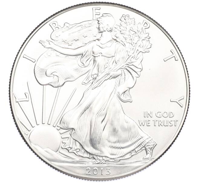 Монета 1 доллар 2013 года США «Шагающая Свобода» (Артикул: K10-16526) — Фото №1